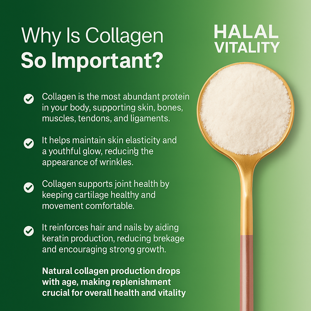 Halal Collagen Protein