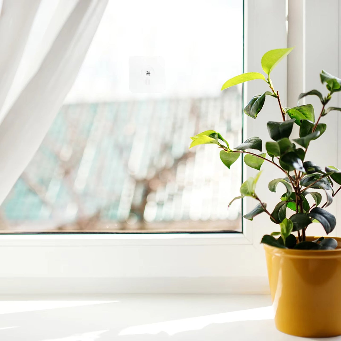 Tokyo Mart Wall Hooks for Screw