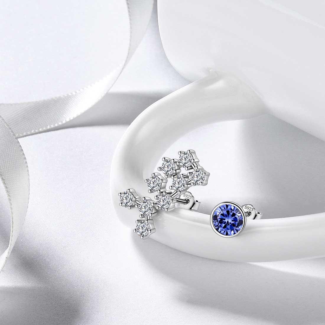 Tokyo Mart Sagittarius Earrings December Birthstone Zodiac Studs Women Girls Jewelry Birthday Gift