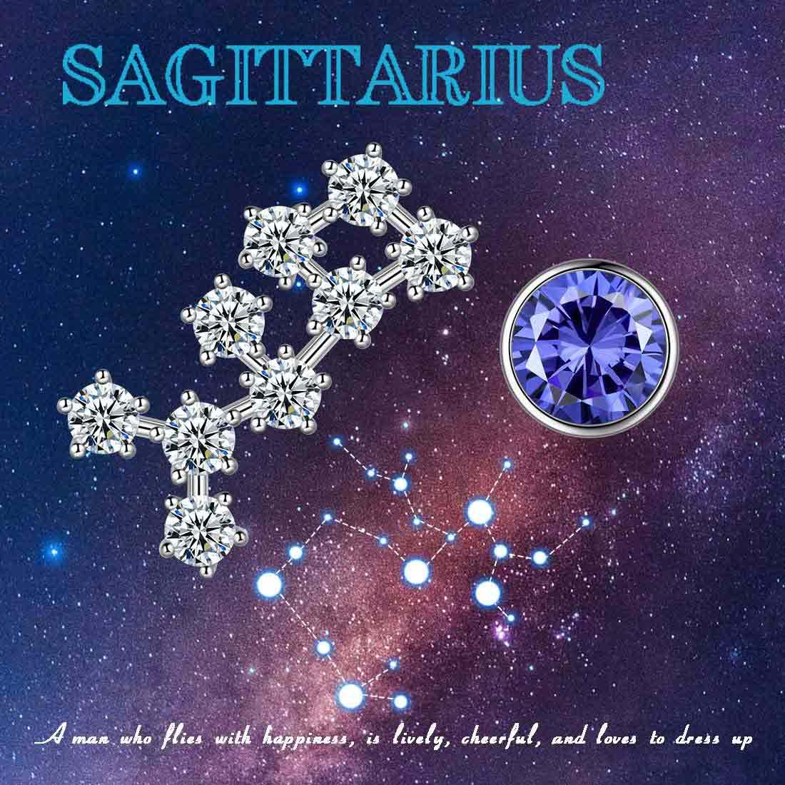 Tokyo Mart Sagittarius Earrings December Birthstone Zodiac Studs Women Girls Jewelry Birthday Gift