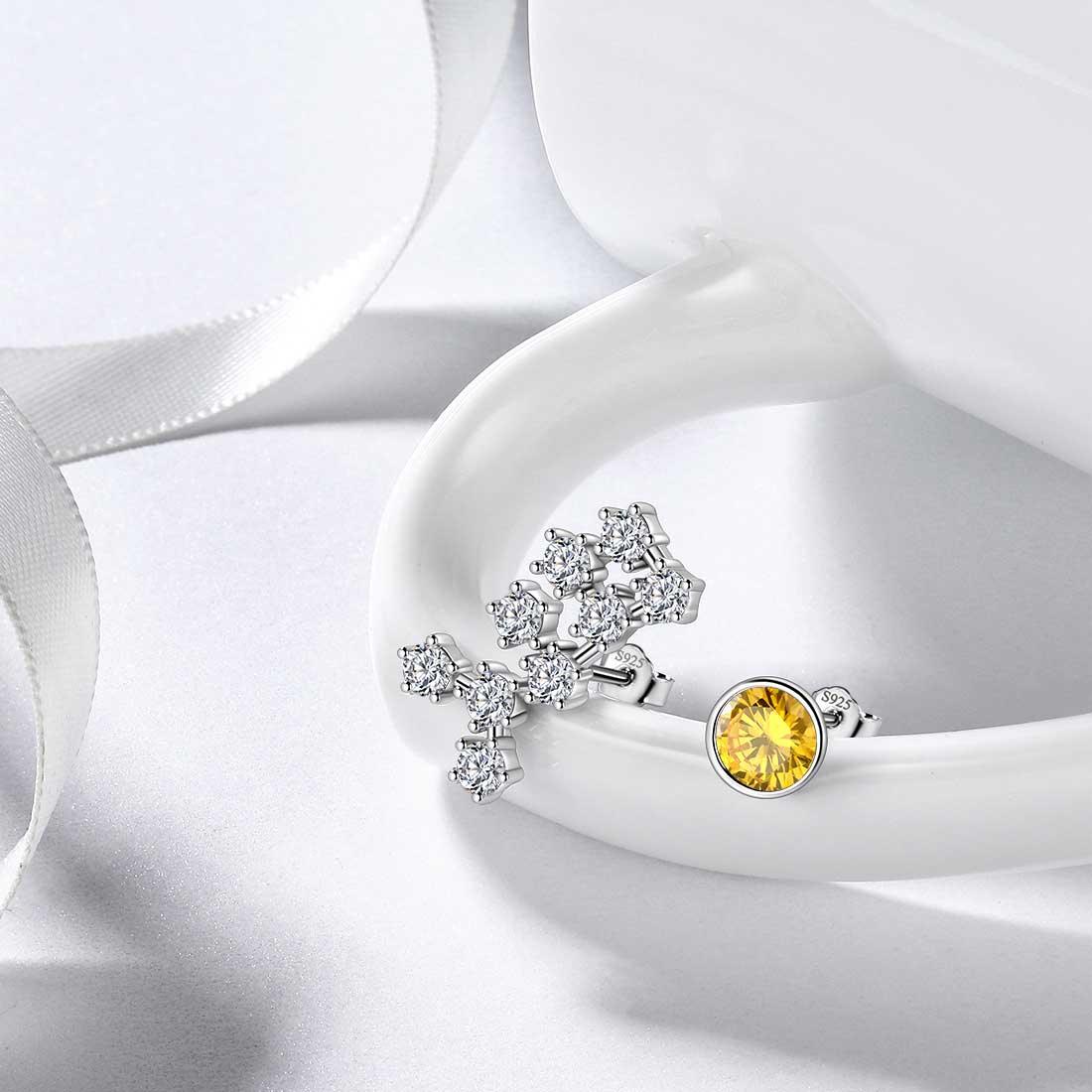 Tokyo Mart Sagittarius Earrings November Birthstone Zodiac Studs Women Girls Jewelry Birthday Gift
