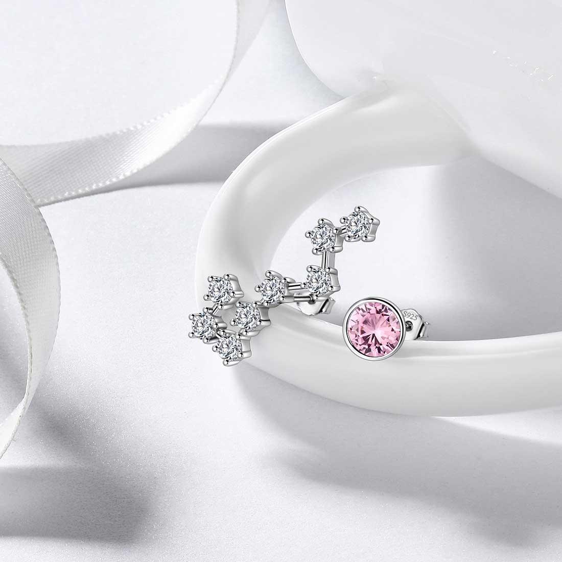 Tokyo Mart Scorpio Earrings October Birthstone Zodiac Studs Women Girls Jewelry Birthday Gift