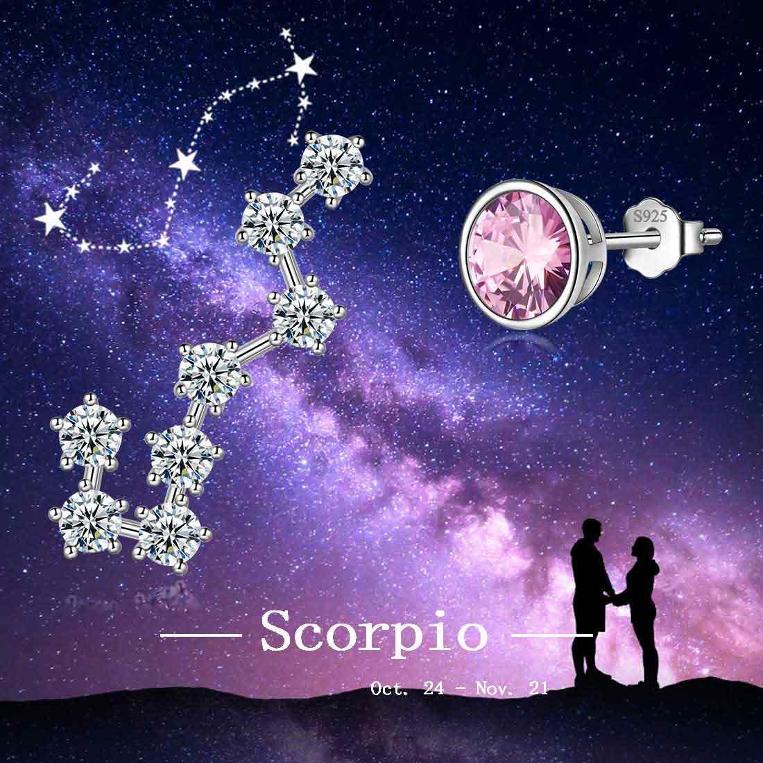 Tokyo Mart Scorpio Earrings October Birthstone Zodiac Studs Women Girls Jewelry Birthday Gift