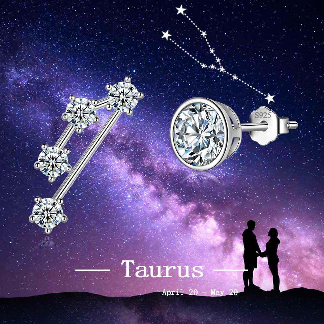 Tokyo Mart Taurus Earrings April Birthstone Zodiac Studs Women Girls Jewelry Birthday Gift