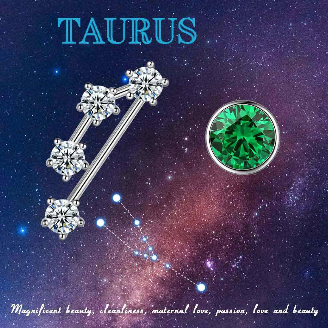 Tokyo Mart Taurus Earrings May Birthstone Zodiac Studs Women Girls Jewelry Birthday Gift