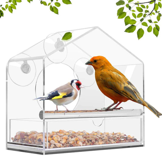 TRANSPARENT BIRD FEEDER