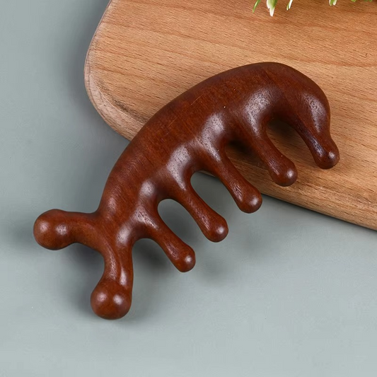 Tokyo Mart  Comb and Hair Massager