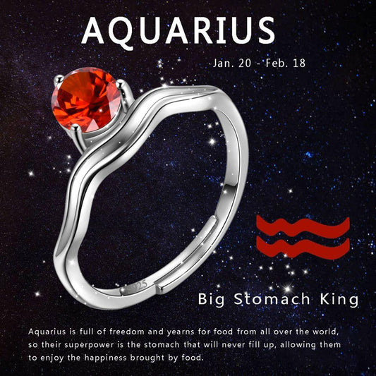 Tokyo Mart Aquarius Ring January Garnet Birthstone Zodiac Women Girls Jewelry Birthday Gift