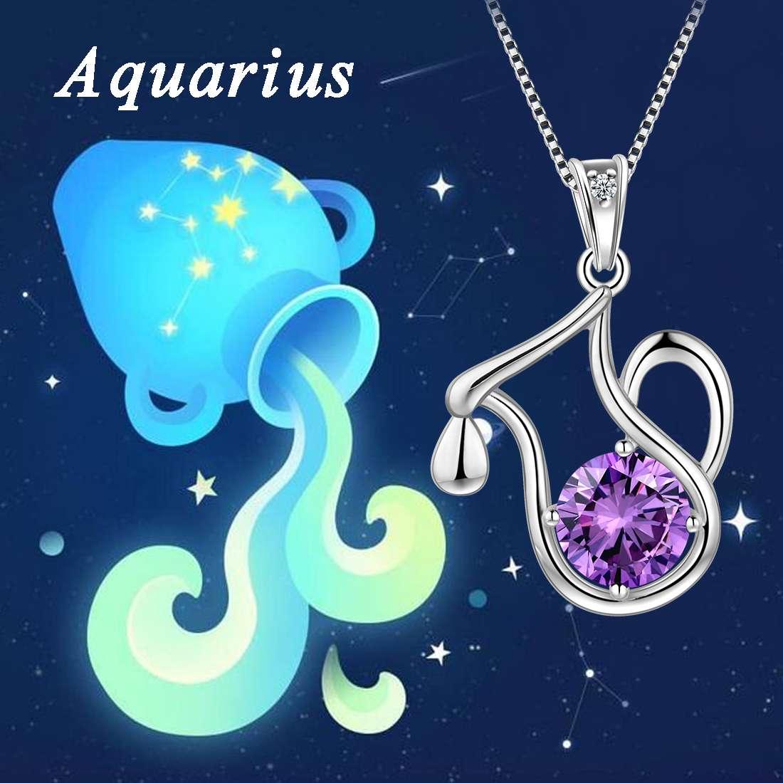 Tokyo Mart Aquarius Zodiac Necklace February Birthstone Pendant Women Girls Jewelry Birthday Gift Women Girls Jewelry Birthday Gift