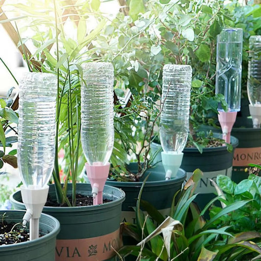 Tokyo Mart Self Watering Spikes