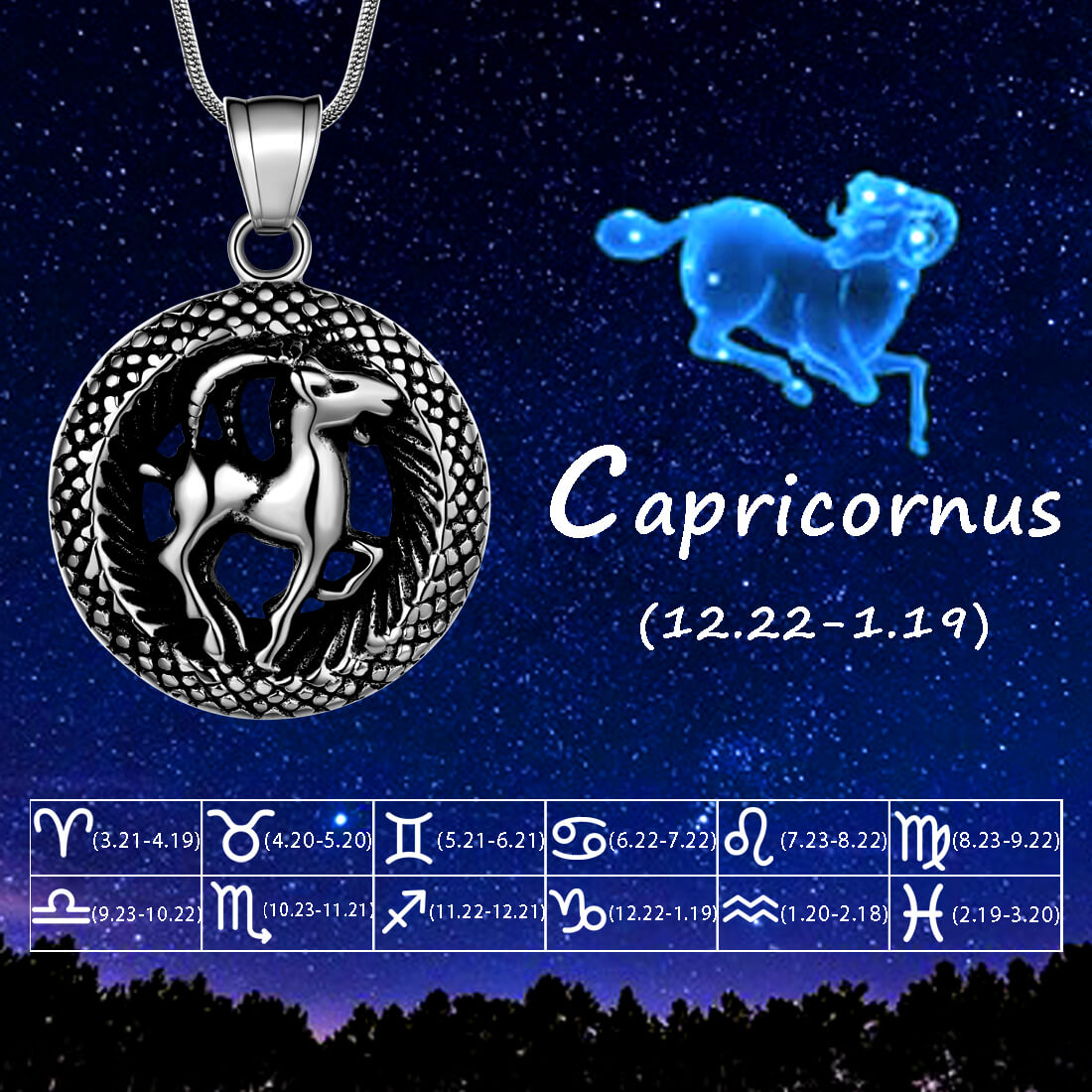 Tokyo Mart Men Zodiac Capricorn Necklace Pendant Star Sign Constellation Jewelry Women Boys Girls Birthday Gift