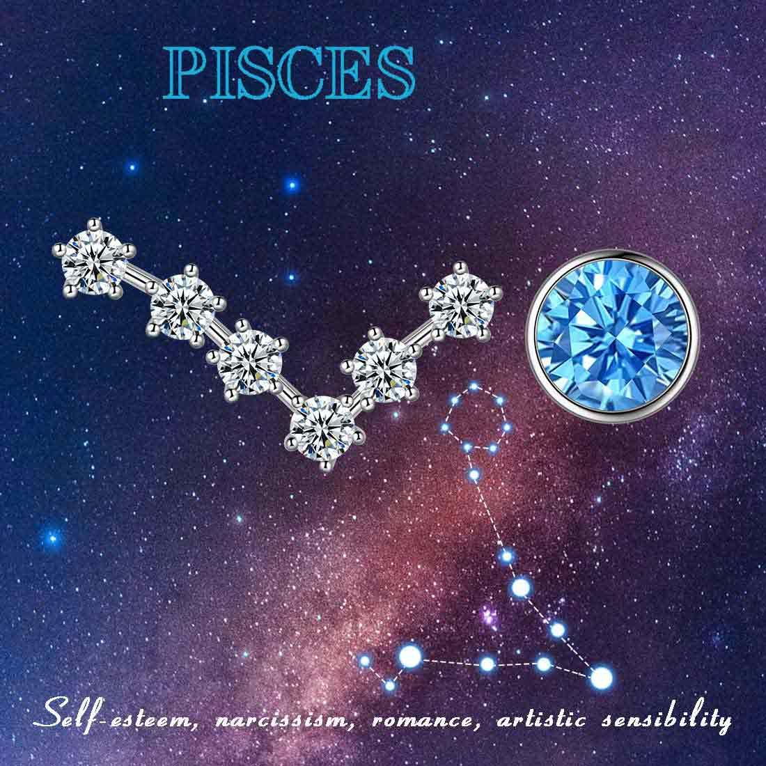 Tokyo Mart Pisces Earrings March Birthstone Zodiac Studs Women Girls Jewelry Birthday Gift