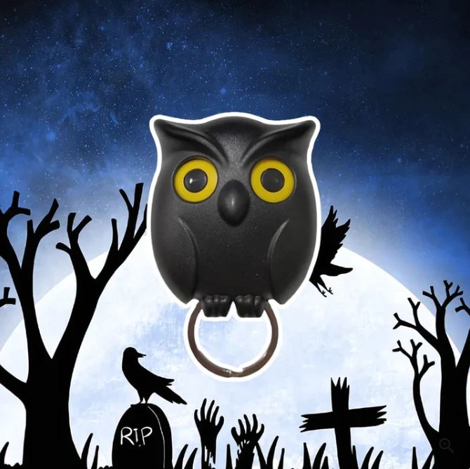 Night Owl Magnetic Wall Key Holder