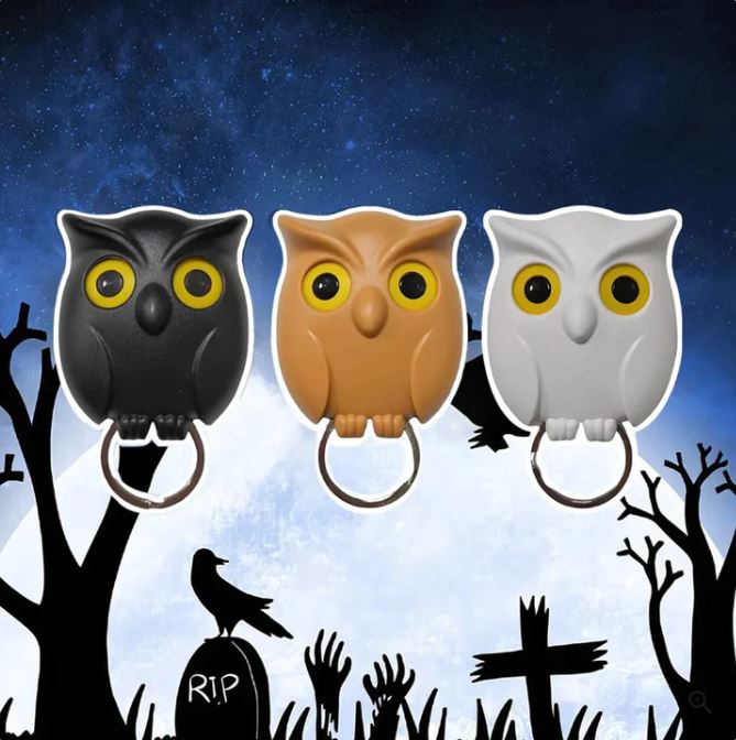 Night Owl Magnetic Wall Key Holder