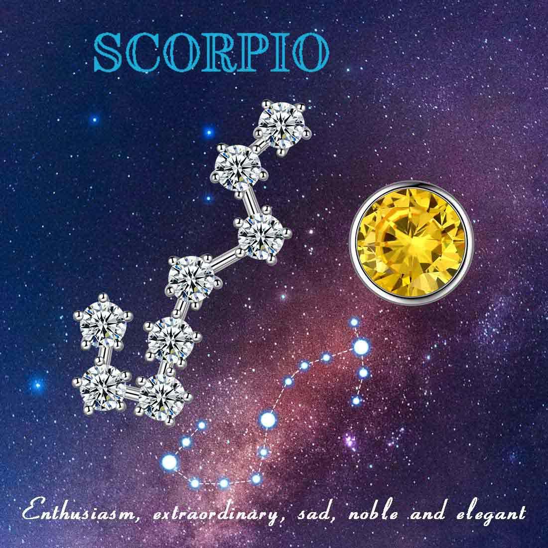 Tokyo Mart Scorpio Earrings November Birthstone Zodiac Studs Women Girls Jewelry Birthday Gift