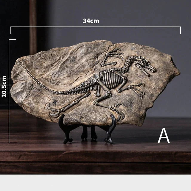 Dinosaur Fossil Specimen