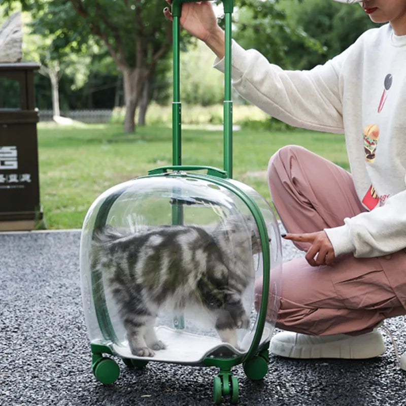 Tokyo Mart Trolley für Haustiere 